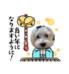 天使cocoちゃん（個別スタンプ：23）