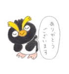 イワトビペンギンのイワちゃん水彩スタンプ（個別スタンプ：1）