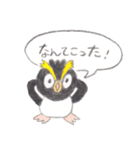 イワトビペンギンのイワちゃん水彩スタンプ（個別スタンプ：34）