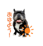 はまちのすたんぷ（個別スタンプ：1）