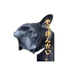 はまちのすたんぷ（個別スタンプ：5）