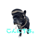 はまちのすたんぷ（個別スタンプ：13）