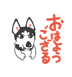 サムライ言葉で送れるハスキー犬 蓮之介（個別スタンプ：7）