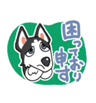 サムライ言葉で送れるハスキー犬 蓮之介（個別スタンプ：18）