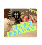 ちょび達の日常スタンプ2（個別スタンプ：22）