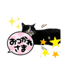猫のピアノのぴー（個別スタンプ：15）