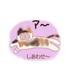 野良猫ミケにゃん（個別スタンプ：22）