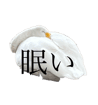 白鳥好きのスタンプ（個別スタンプ：4）