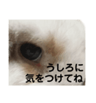 ウサ田の日常（個別スタンプ：6）