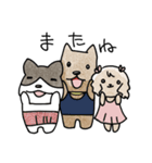 3匹の犬スタンプ（個別スタンプ：34）