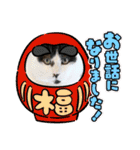 坂本ファミリーの猫たち（個別スタンプ：16）