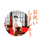 坂本ファミリーの猫たち（個別スタンプ：18）