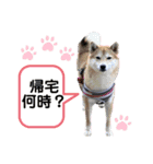 ぴらいわスタンプ④（個別スタンプ：6）