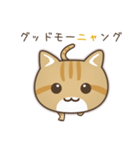 かわいい茶トラ猫[上目づかい]（個別スタンプ：1）