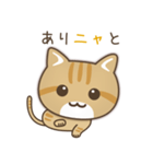 かわいい茶トラ猫[上目づかい]（個別スタンプ：4）