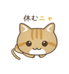 かわいい茶トラ猫[上目づかい]（個別スタンプ：12）