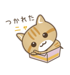 かわいい茶トラ猫[上目づかい]（個別スタンプ：14）