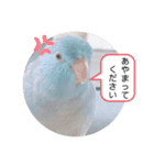 マメルリハのリル17（個別スタンプ：7）