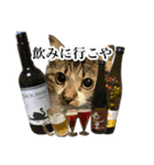 酒飲みねこ（個別スタンプ：2）