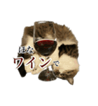 酒飲みねこ（個別スタンプ：8）