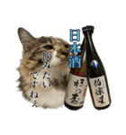酒飲みねこ（個別スタンプ：9）