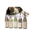 酒飲みねこ（個別スタンプ：15）