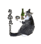 酒飲みねこ（個別スタンプ：19）