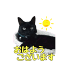 黒猫姉妹 ほたるとこまち（個別スタンプ：2）