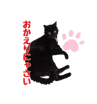 黒猫姉妹 ほたるとこまち（個別スタンプ：10）