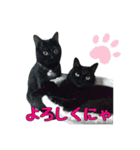 黒猫姉妹 ほたるとこまち（個別スタンプ：18）