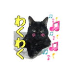 黒猫姉妹 ほたるとこまち（個別スタンプ：27）