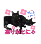 黒猫姉妹 ほたるとこまち（個別スタンプ：32）