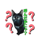 黒猫姉妹 ほたるとこまち（個別スタンプ：38）