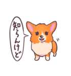 ほわわんコーギー【犬の日】（個別スタンプ：22）