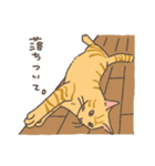 おかしなねこたち（個別スタンプ：13）