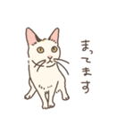 おかしなねこたち（個別スタンプ：18）