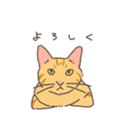 おかしなねこたち（個別スタンプ：19）