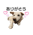 ウィードのスタンプ（個別スタンプ：3）