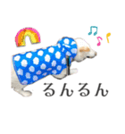 ウィードのスタンプ（個別スタンプ：14）