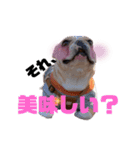 あばら家（個別スタンプ：1）