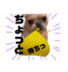 あばら家（個別スタンプ：2）