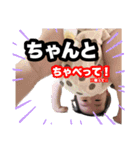 ゆうじろうん家（個別スタンプ：6）
