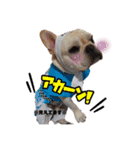 ゆうじろうん家（個別スタンプ：11）