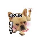 ゆうじろうん家（個別スタンプ：15）