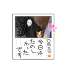 ぱぴぱぴパピヨン98（個別スタンプ：22）