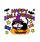 はちわれ猫ロック【ハロウィン】（個別スタンプ：1）