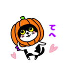 はちわれ猫ロック【ハロウィン】（個別スタンプ：10）