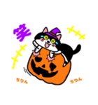 はちわれ猫ロック【ハロウィン】（個別スタンプ：13）