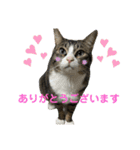 セナ＆ランガ スタンプ（個別スタンプ：6）