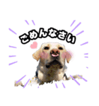 365日小梅日和（個別スタンプ：10）